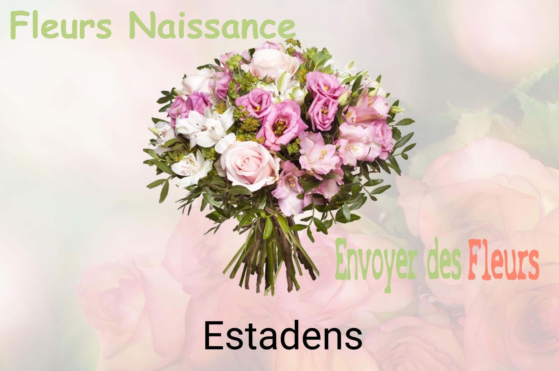 Bouquet de fleurs de naissance livré à Estadens